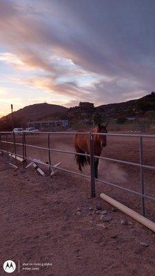 Stony Mountain Ranch