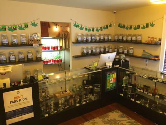 Inside the dispensary.