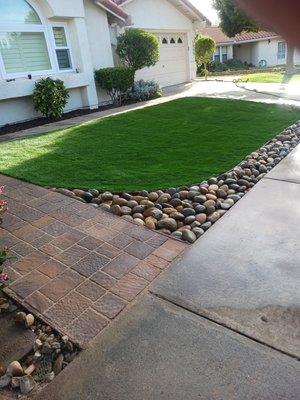 Artificial grass with large cobble stones and paver walkway.