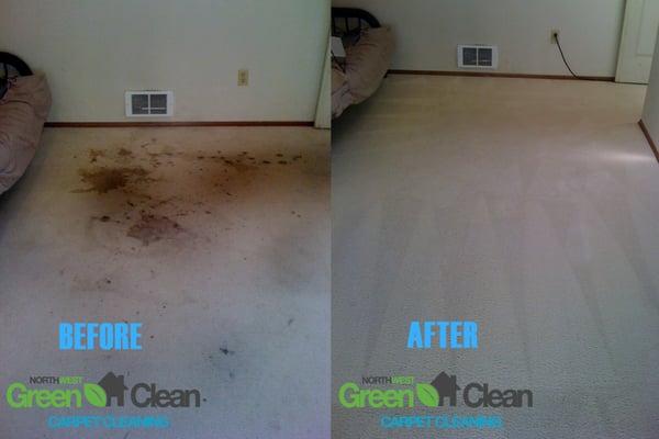 Green Carpet Cleaning