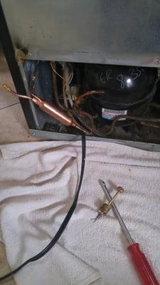 Replacing dryer filter for compressor seal system