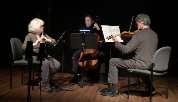 Chamber music performance