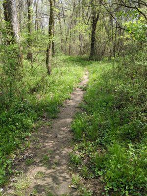 Shady Lane Park, Lancaster SC