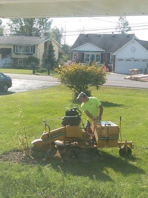 Huck's Stump Grinding