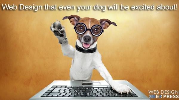 Web Design that even your dog will be excited about!