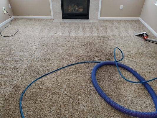 Residential
 Hot Water (Steam) Extraction 
 The preferred method of all Carpet Mills.