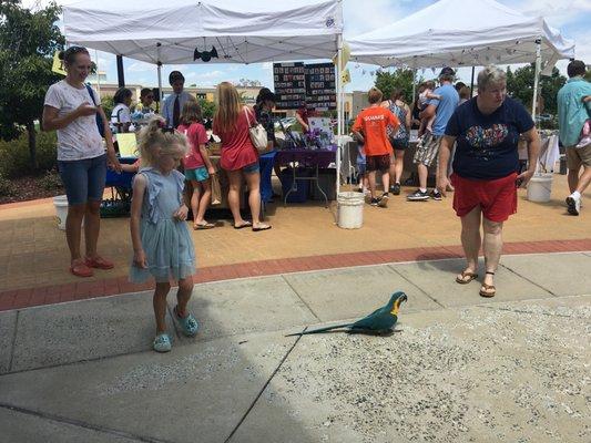 Holly Springs Children's Business Fair Hosted by Infinity Educators, LLC