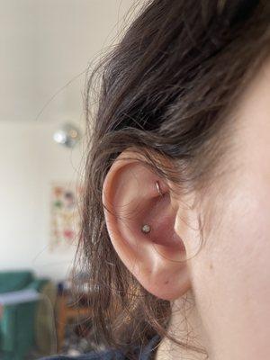 conch piercing w opal jewlery done by sarvas!