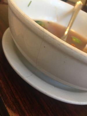 Hair on the plate,  chicken Pho.