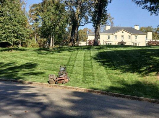 Cutting Green Landscaping