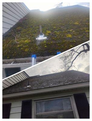 Roof and gutter cleaning services