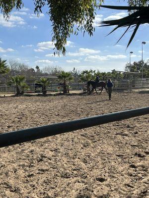 Super nice dressage sized arena with markers. Perfect for flatwork