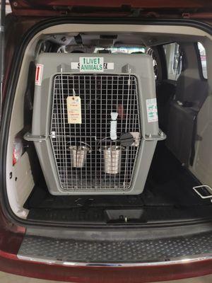 Crate loaded into Pet Relocator transport