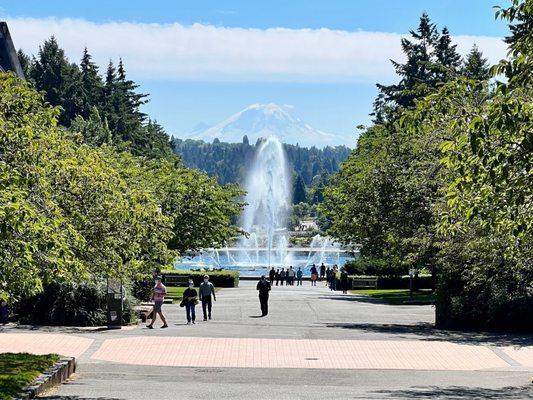 Fountain, campus, mt rainier