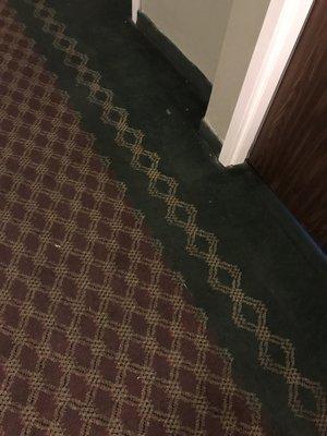 Dirt carpets in hallways