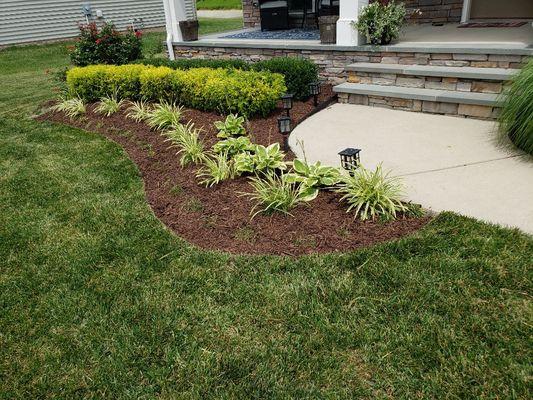 Flowerbed renovation