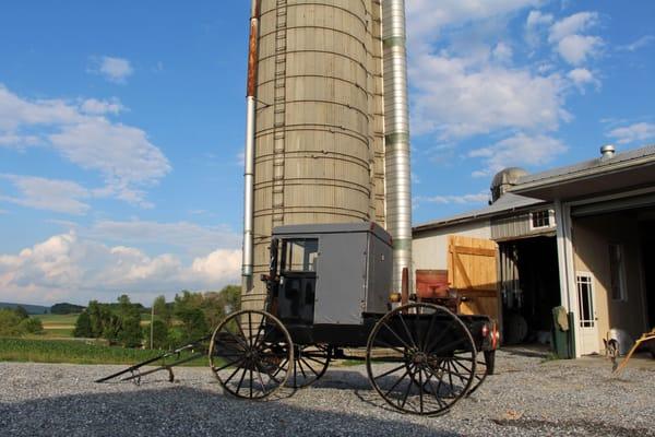 Amish Farm Stay