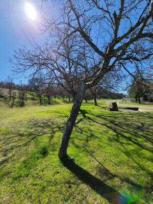 Kings River Conservation District