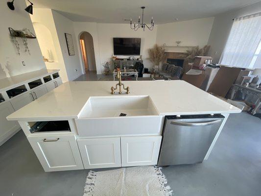 Alabaster White counters (Quartz from MSI)