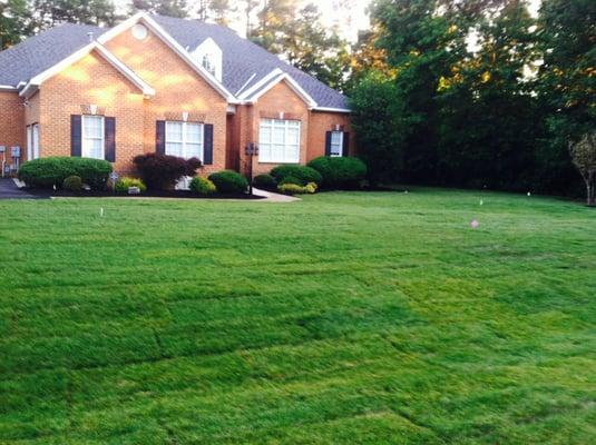 Topsoil & Sod Installation, Paver Walkway Installation