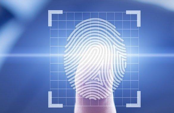 Live Scan Fingerprint