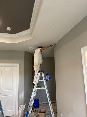 Interior Painting Projects