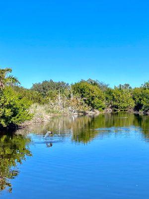 Cayo Costa State Park