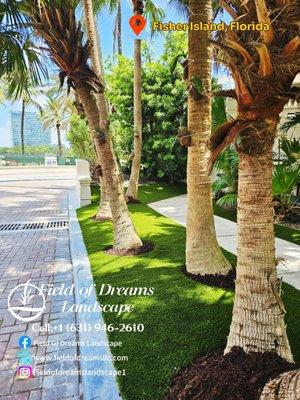 Artificial Grass is the perfect solution for shaded areas