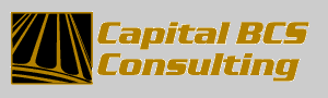 Capital BCS Consulting - Logo