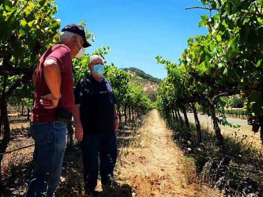 Winemaker checks on grapes for the upcoming harvest.