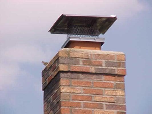 Chimney Cap keeping animals from entering the house