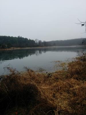 Gloomy morning lake run