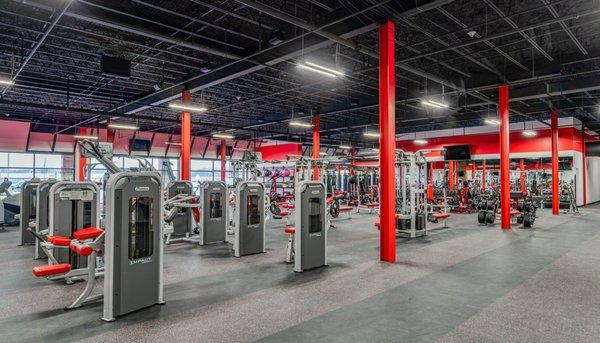 full-scale strength gym