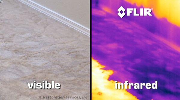 Here is a FLIR stock photo turning Invisible water damage - VISIBLE with the help of TECH!