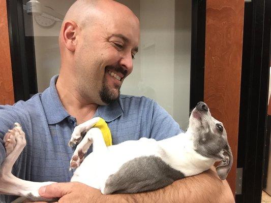 Dr Ashley has a special place in his heart for Italian Greyhounds