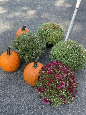 Beechmont Open Air Market