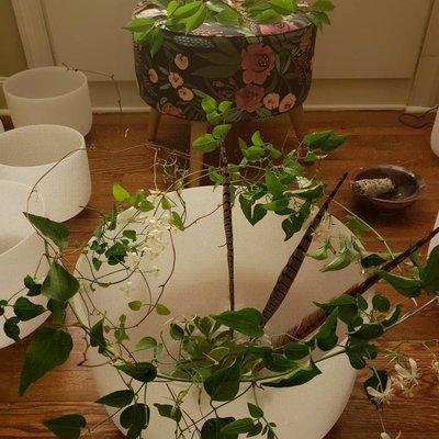 Bowls with live altar materials