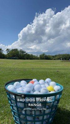 Big Dog Bucket (170-180 balls)