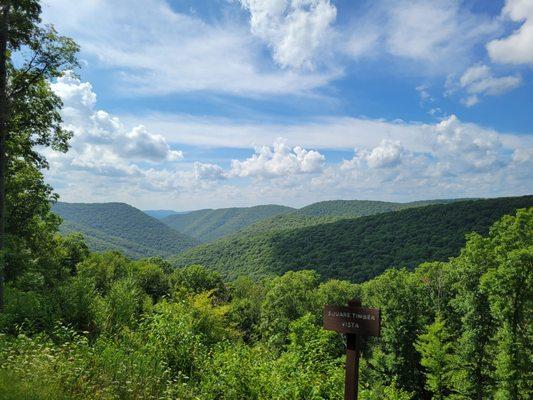 Elk State Forest