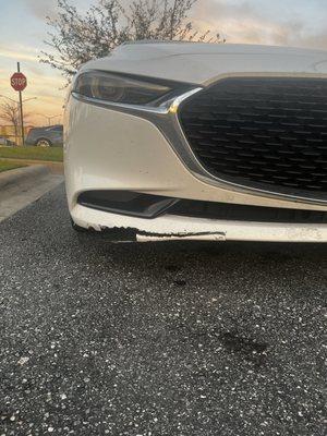 Torn bumper