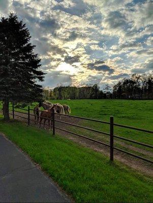 Gorgeous pastures, some even have lakes!!!