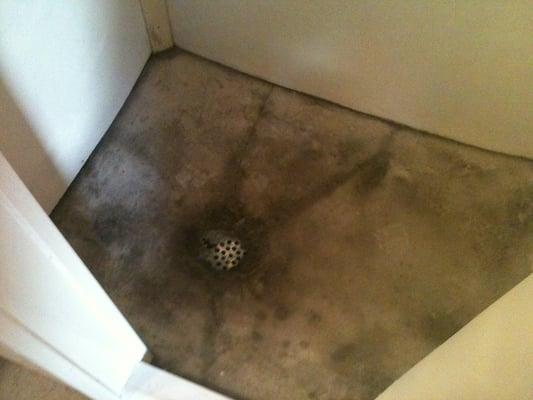 Our shower floor. I have no words. Should have taken a picture of the half-used soap left by the visitors before us.