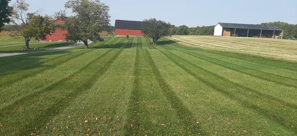 Stripes that go forever!