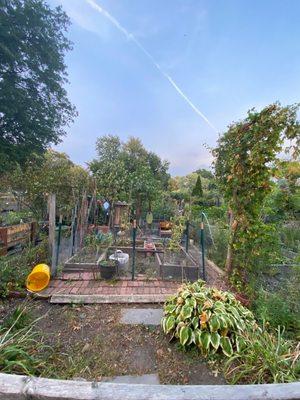 The plots of the individual gardens that hold fruits, vegetables & flowers @ The Fenway Victory Gardens in Boston