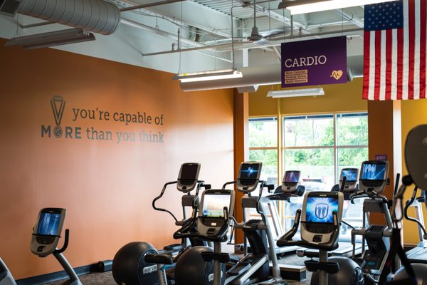 We have a wide variety of cardio equipment!! (Treadmills, Free Range/Fixed Elliptical, Bikes, Rowing Machine, Jacobs Ladder, etc)