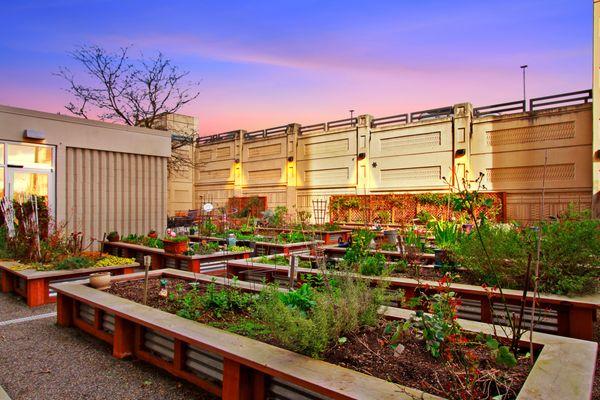 Residents enjoy taking an evening stroll through Hilltop's resident gardens.