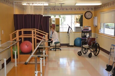 7 days a week Physical Therapy/Occupational Therapy