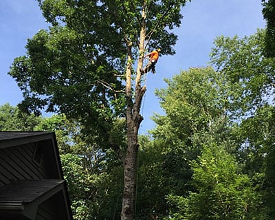 Kilpatrick Tree Service