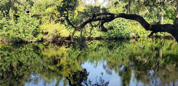 Hillsborough River