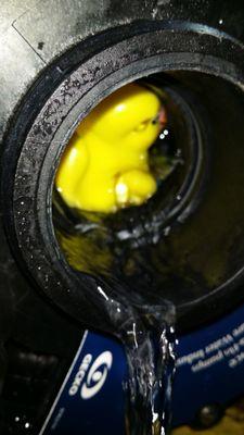 Rubber ducky in a pump